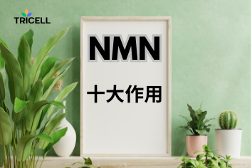 NMN十大作用