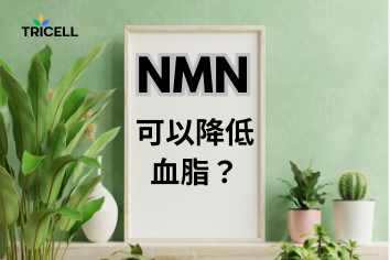 NMN可以降低血脂 ?