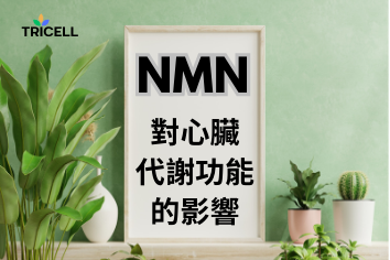 NMN對心臟代謝功能的影響